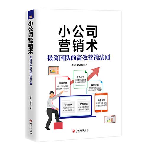 极简团队的高效营销法则 赵涛 赵彦锋著 市场营销书籍 营销策划书籍